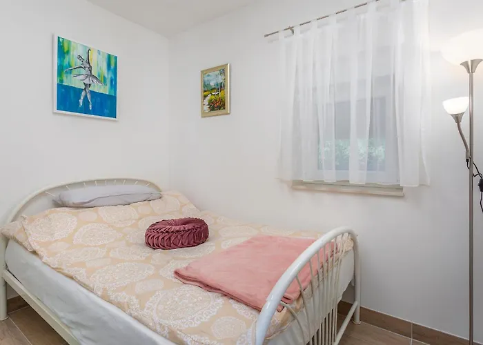 Pet Friendly In